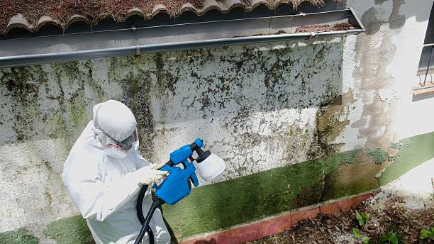 Top rated local Attic Mold Remediation specialists in Duncannon, PA